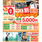 フィットネスクラブの新聞折込